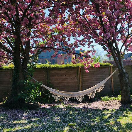 Appartement 'De Stadstuin' Harderwijk Buitenkant foto